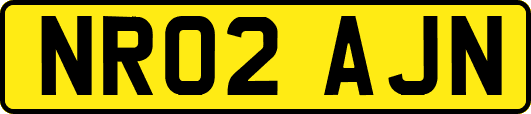 NR02AJN