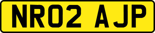 NR02AJP