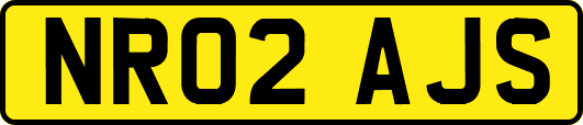 NR02AJS