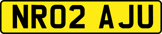NR02AJU