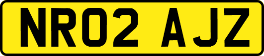 NR02AJZ