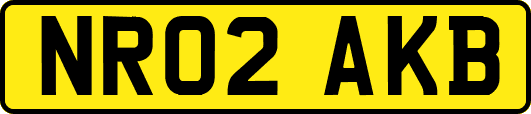 NR02AKB