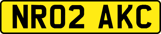 NR02AKC