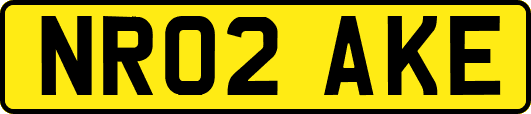 NR02AKE