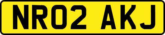 NR02AKJ