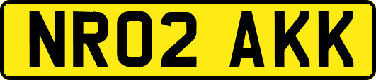 NR02AKK