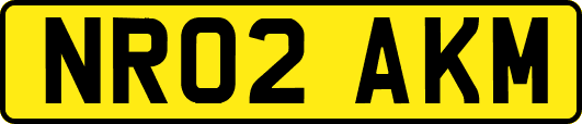 NR02AKM