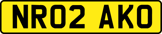 NR02AKO