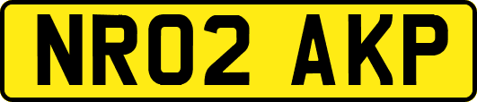 NR02AKP