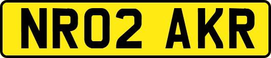NR02AKR