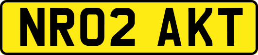 NR02AKT