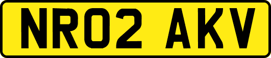 NR02AKV