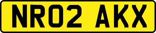 NR02AKX