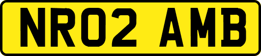 NR02AMB
