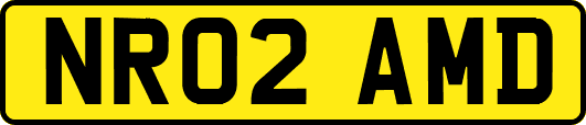 NR02AMD