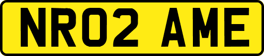 NR02AME