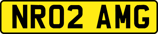NR02AMG