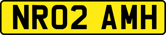 NR02AMH