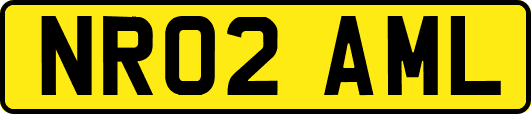 NR02AML