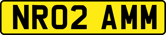 NR02AMM