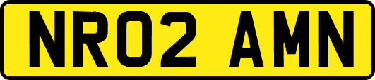 NR02AMN