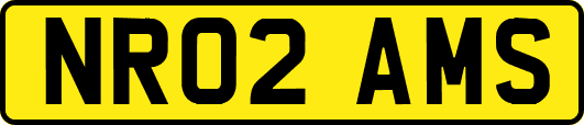 NR02AMS