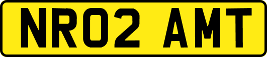 NR02AMT