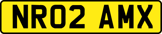 NR02AMX
