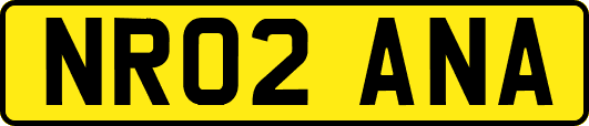 NR02ANA