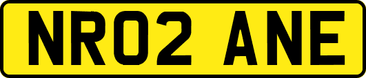 NR02ANE