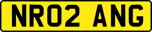 NR02ANG