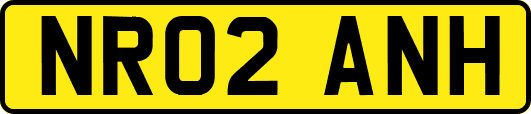 NR02ANH
