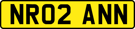 NR02ANN