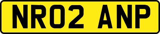 NR02ANP