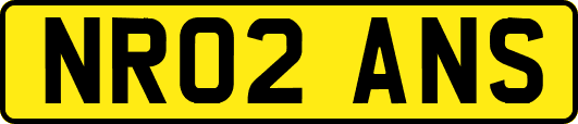 NR02ANS