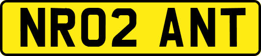 NR02ANT