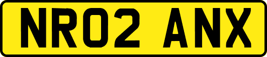 NR02ANX