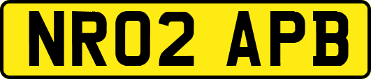 NR02APB