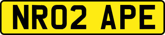 NR02APE