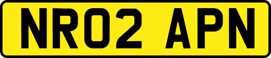NR02APN