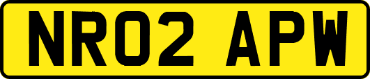NR02APW