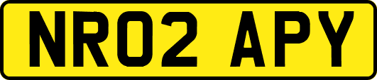 NR02APY