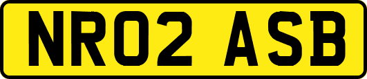 NR02ASB