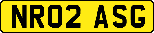NR02ASG