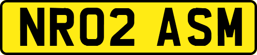 NR02ASM
