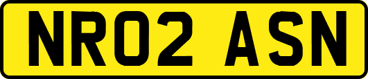 NR02ASN