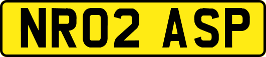 NR02ASP