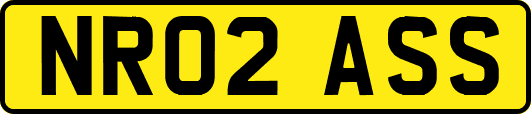NR02ASS