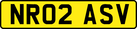 NR02ASV