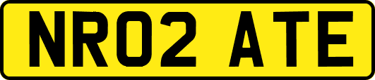 NR02ATE